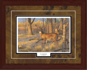 Bean Field Buck