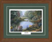 Lily Pond