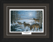 Moonlight Crossing