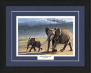 North Of Kilimanjaro