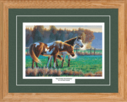 Pasture Buddies
