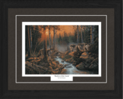 Shadow of the Forest