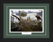 Empowered to Be Free