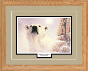 Keepers of the North